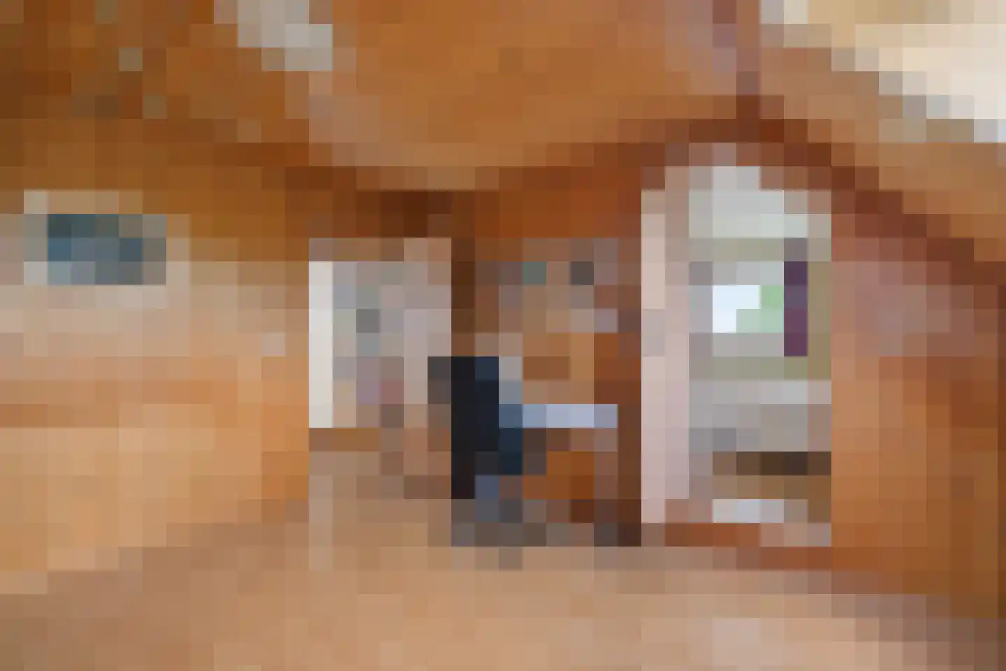 Meenscharweg 5 Joure thumbnail 33