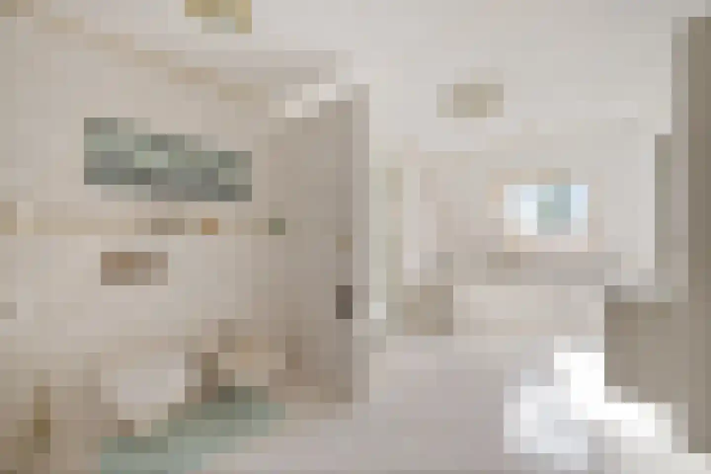 Meenscharweg 5 Joure thumbnail 37