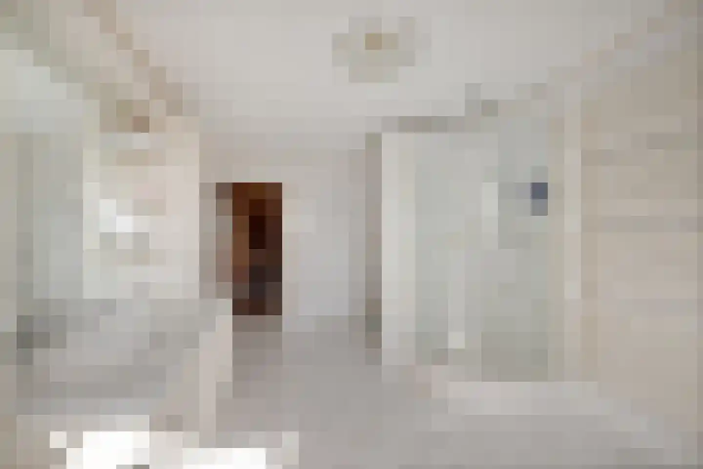 Meenscharweg 5 Joure thumbnail 38