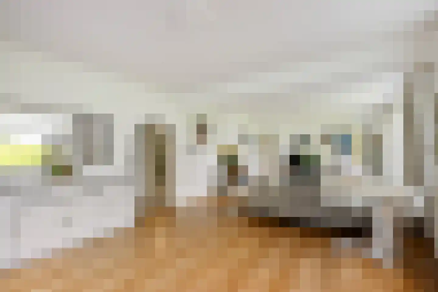 Meenscharweg 5 Joure thumbnail 44