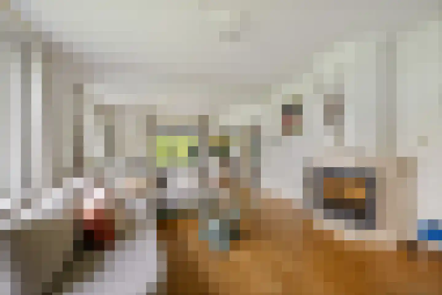 Meenscharweg 5 Joure thumbnail 45