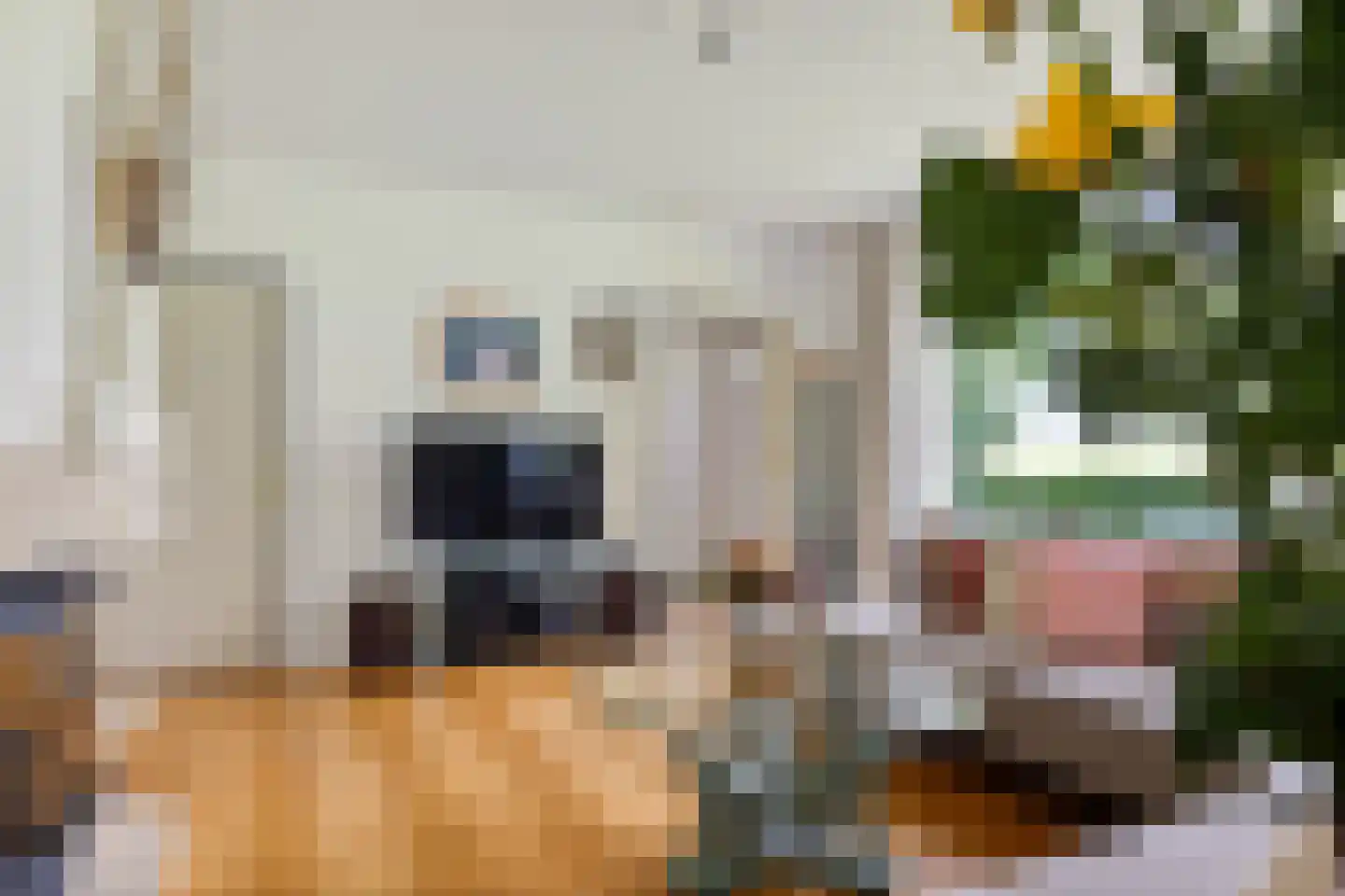 Meenscharweg 5 Joure thumbnail 46