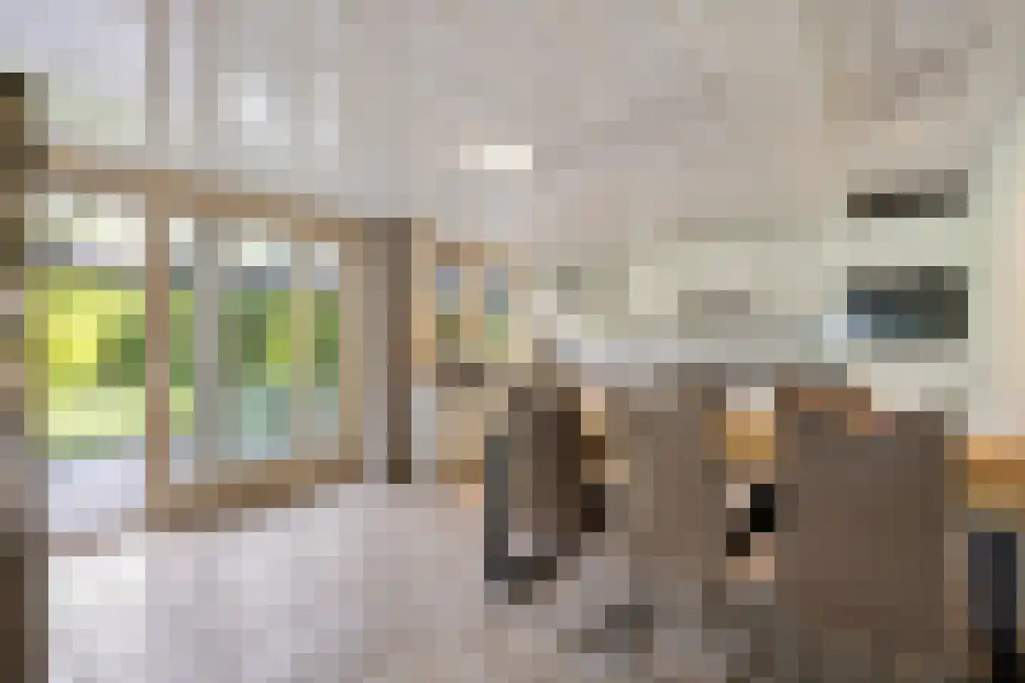 Meenscharweg 5 Joure thumbnail 47
