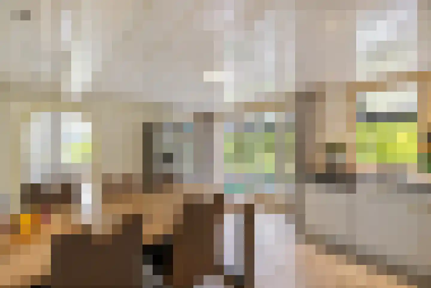 Meenscharweg 5 Joure thumbnail 48