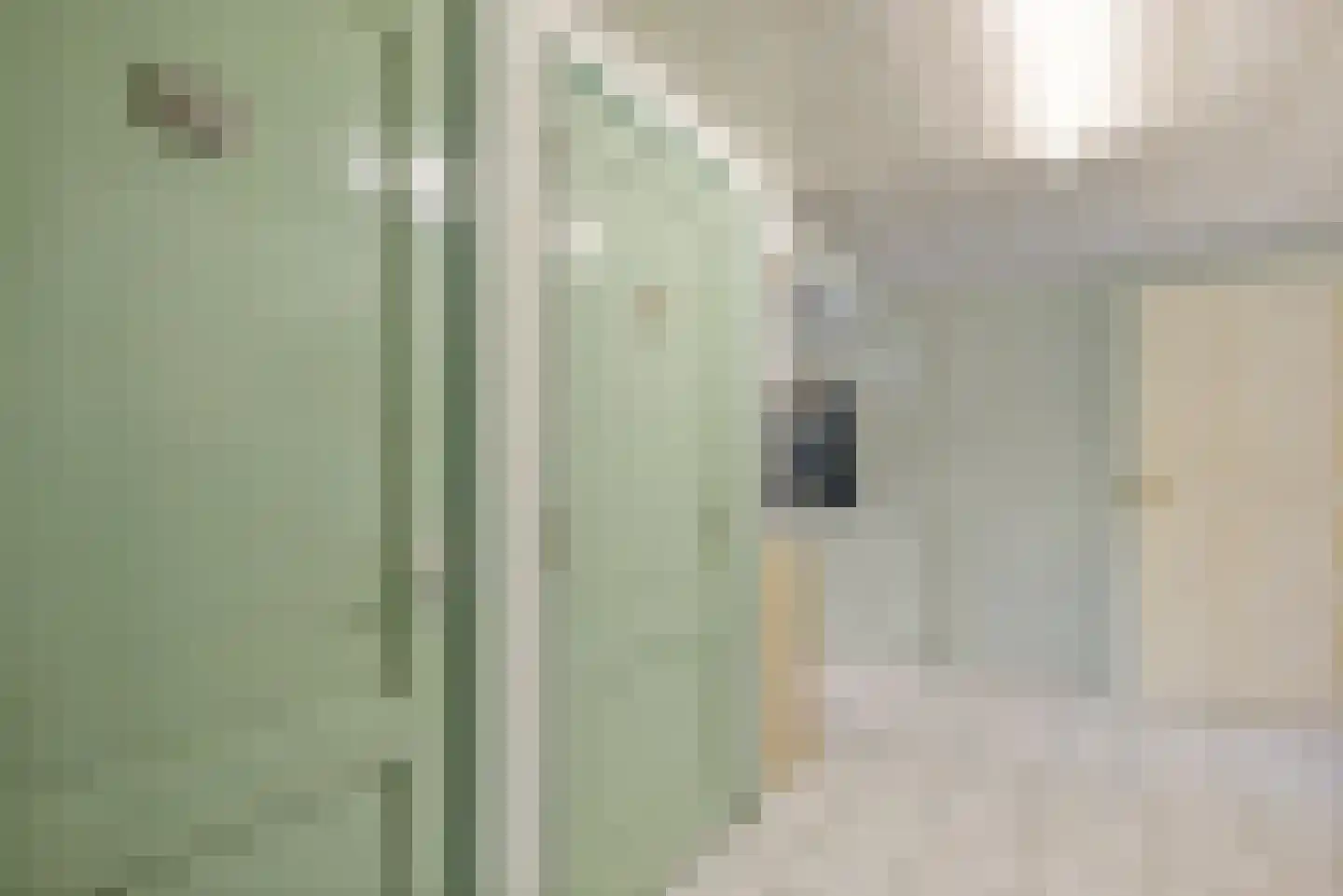 Meenscharweg 5 Joure thumbnail 51