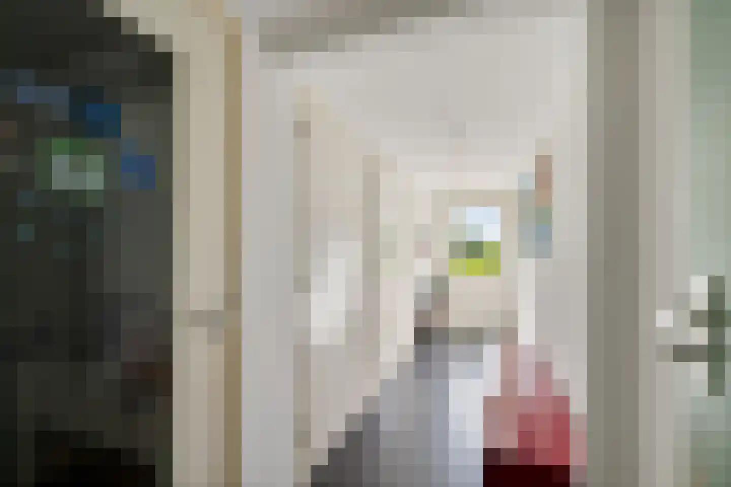 Meenscharweg 5 Joure thumbnail 52