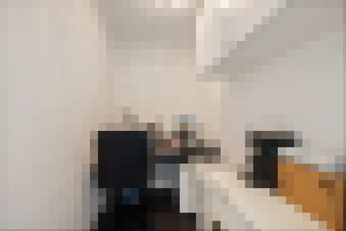 Meenscharweg 5 Joure thumbnail 53