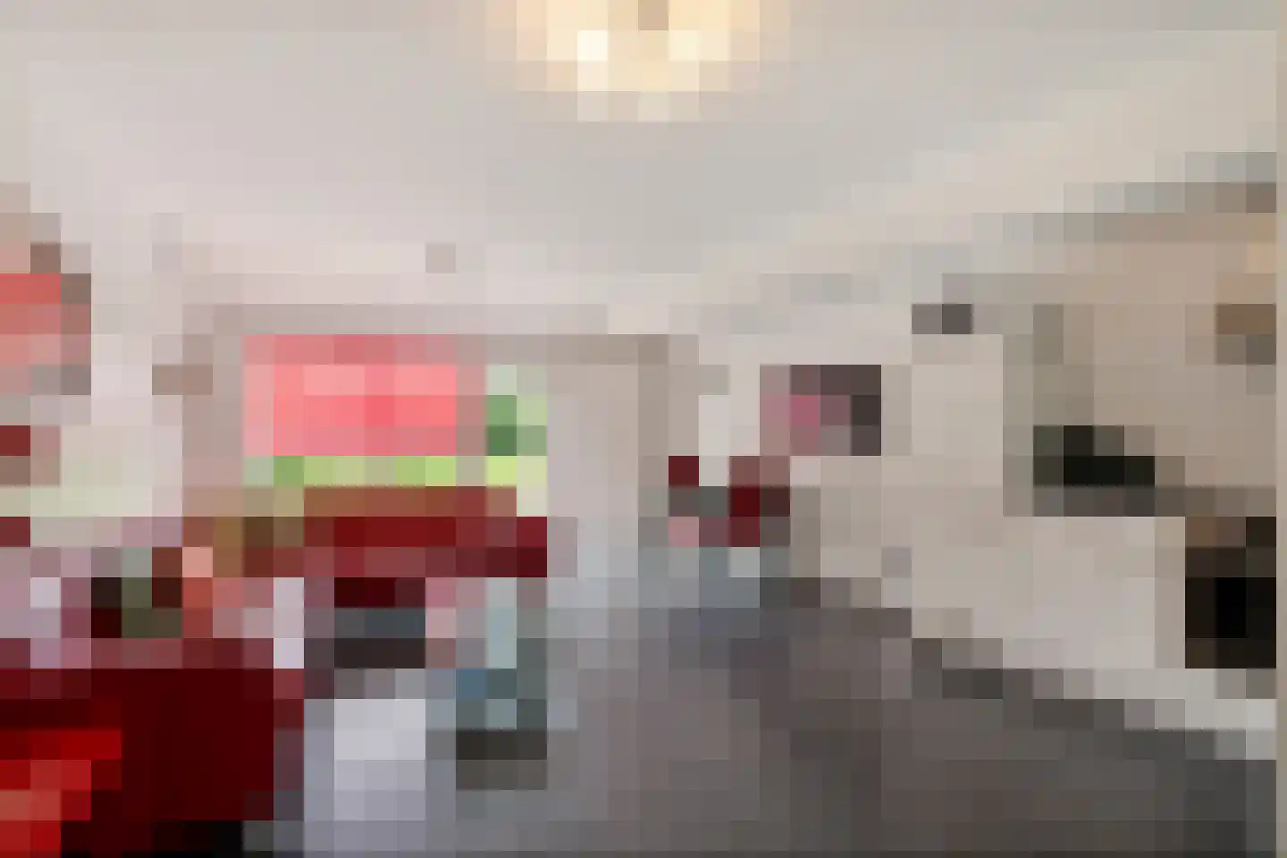 Meenscharweg 5 Joure thumbnail 54