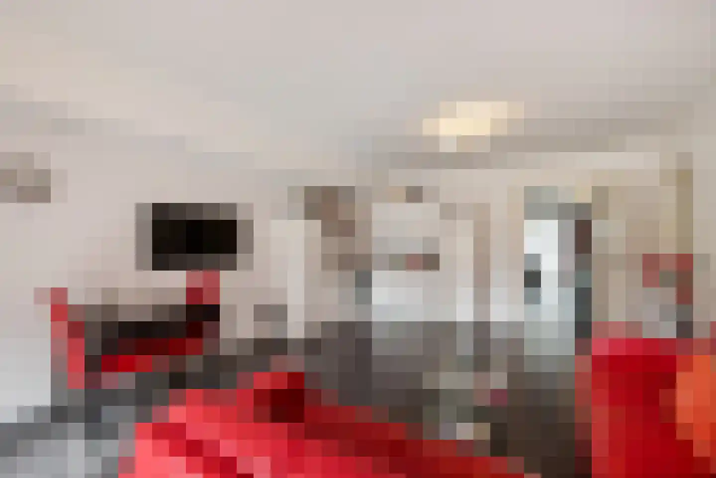 Meenscharweg 5 Joure thumbnail 55