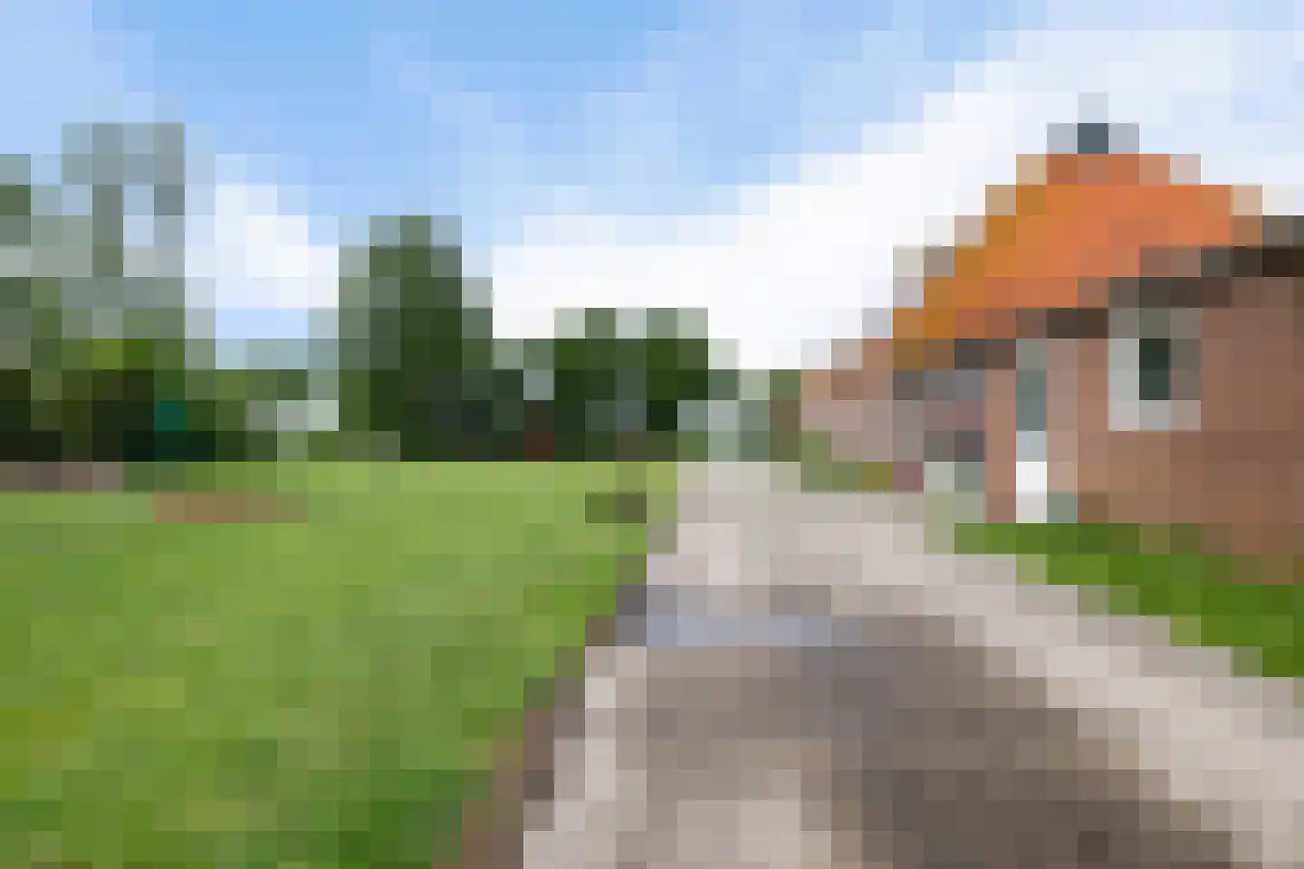 Meenscharweg 5 Joure thumbnail 61