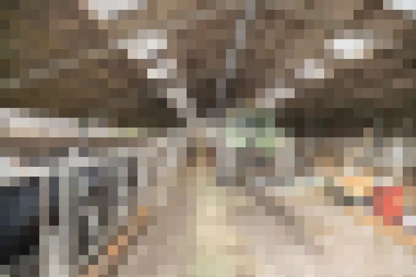 Meenscharweg 5 Joure thumbnail 66