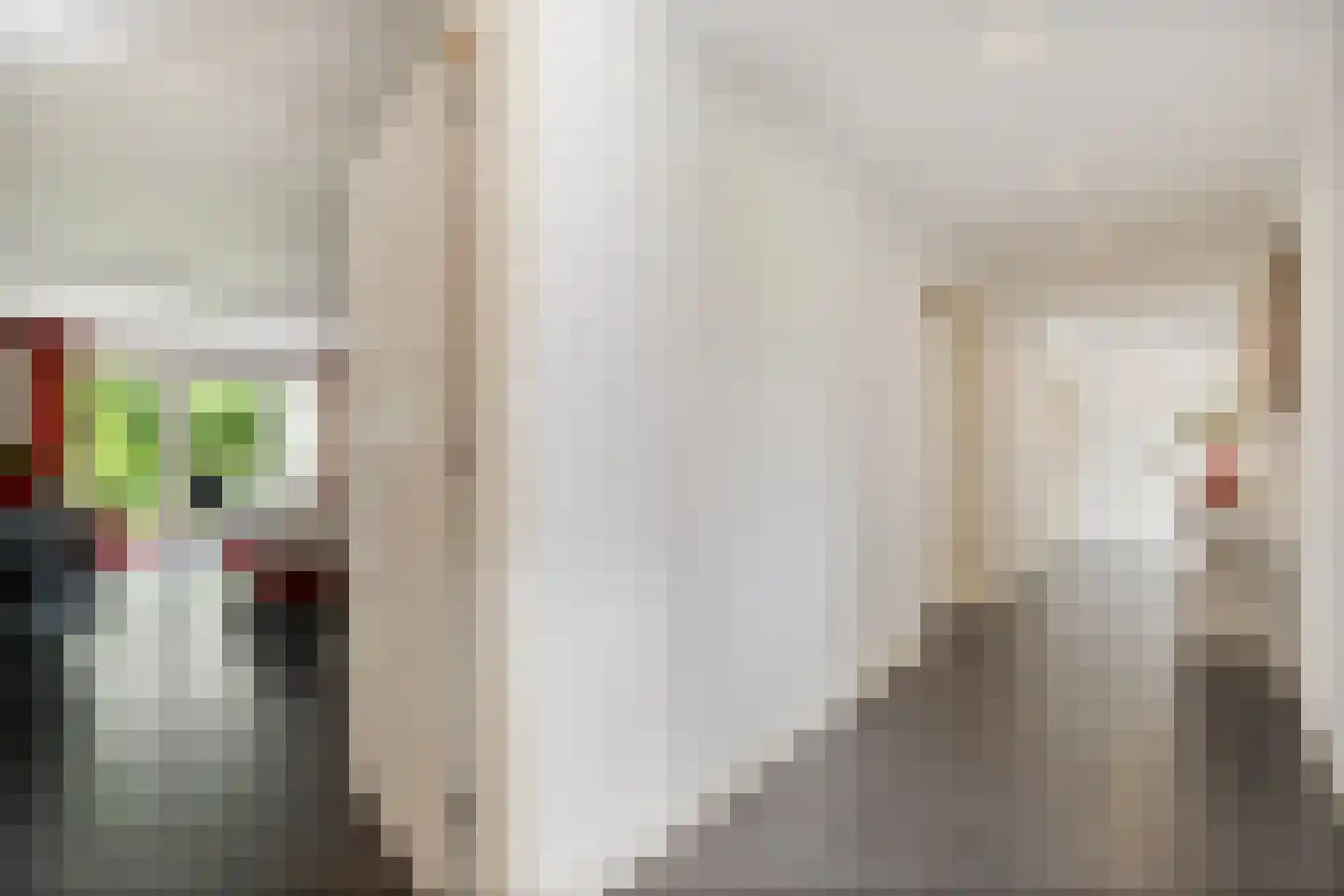 Meenscharweg 5 Joure thumbnail 7