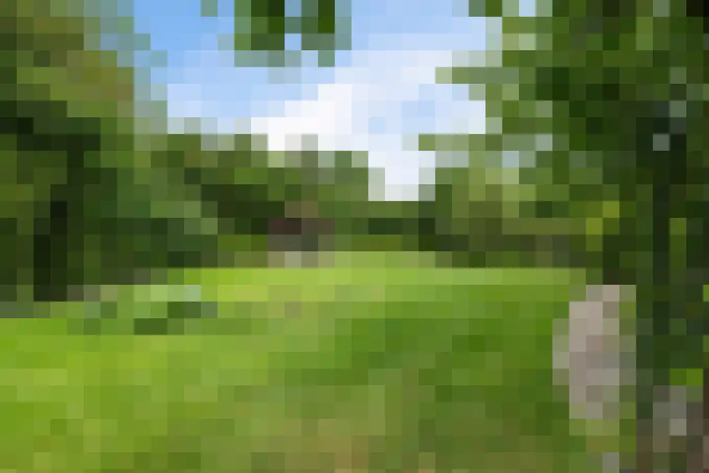 Meenscharweg 5 Joure thumbnail 70