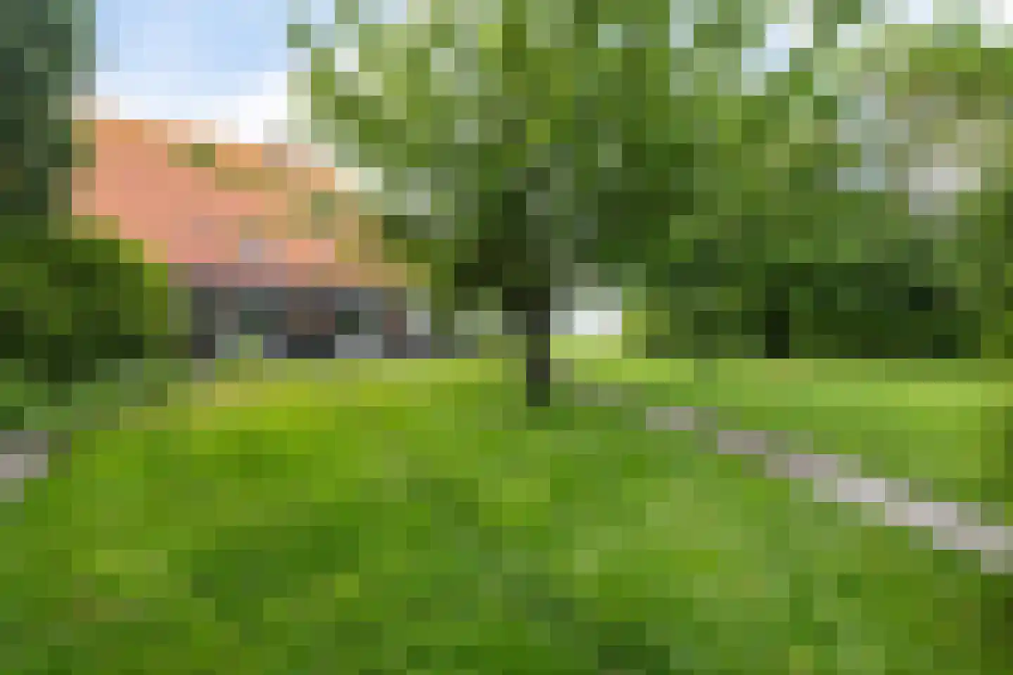 Meenscharweg 5 Joure thumbnail 71