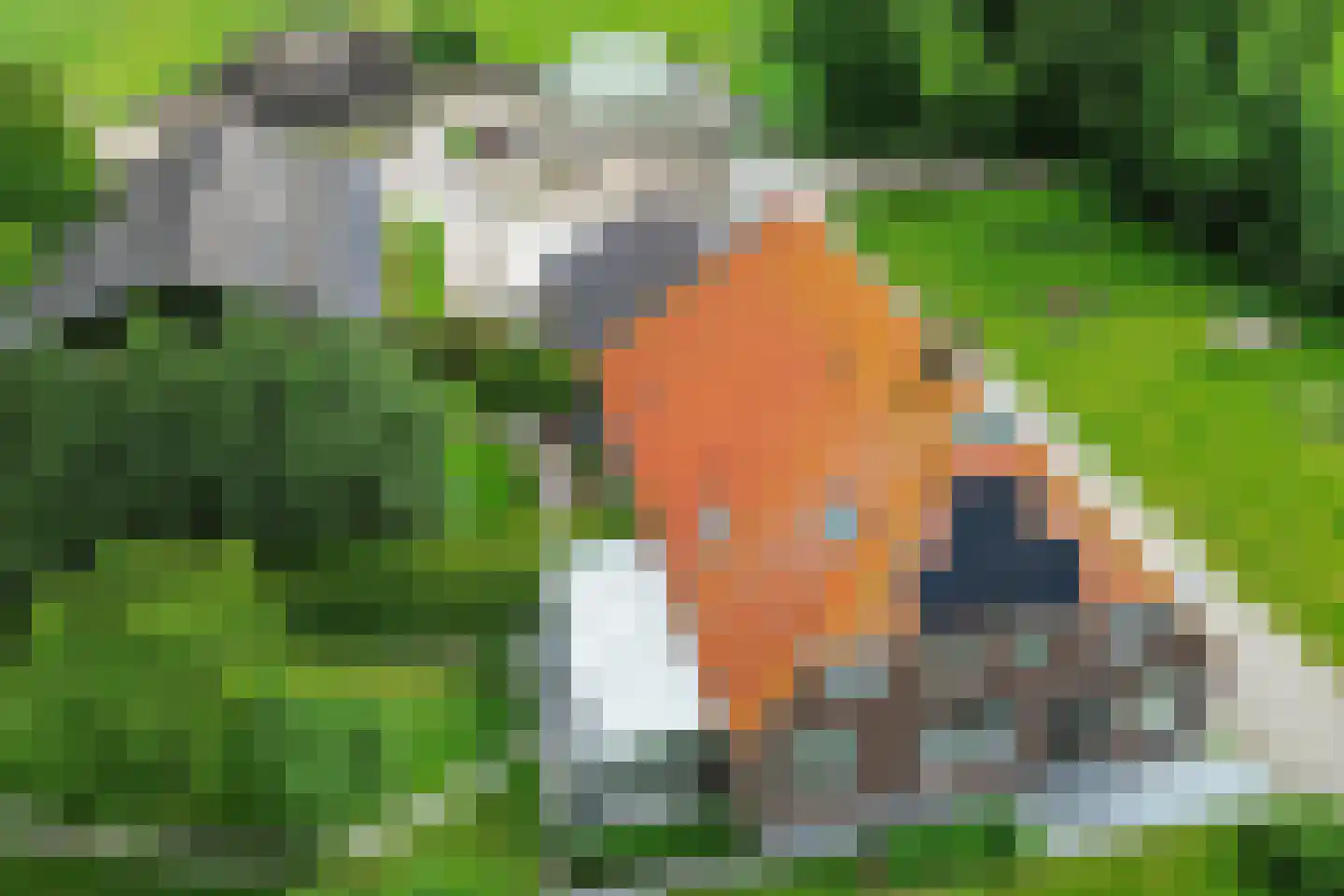 Meenscharweg 5 Joure thumbnail 72