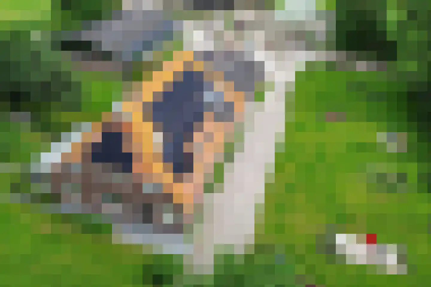 Meenscharweg 5 Joure thumbnail 73