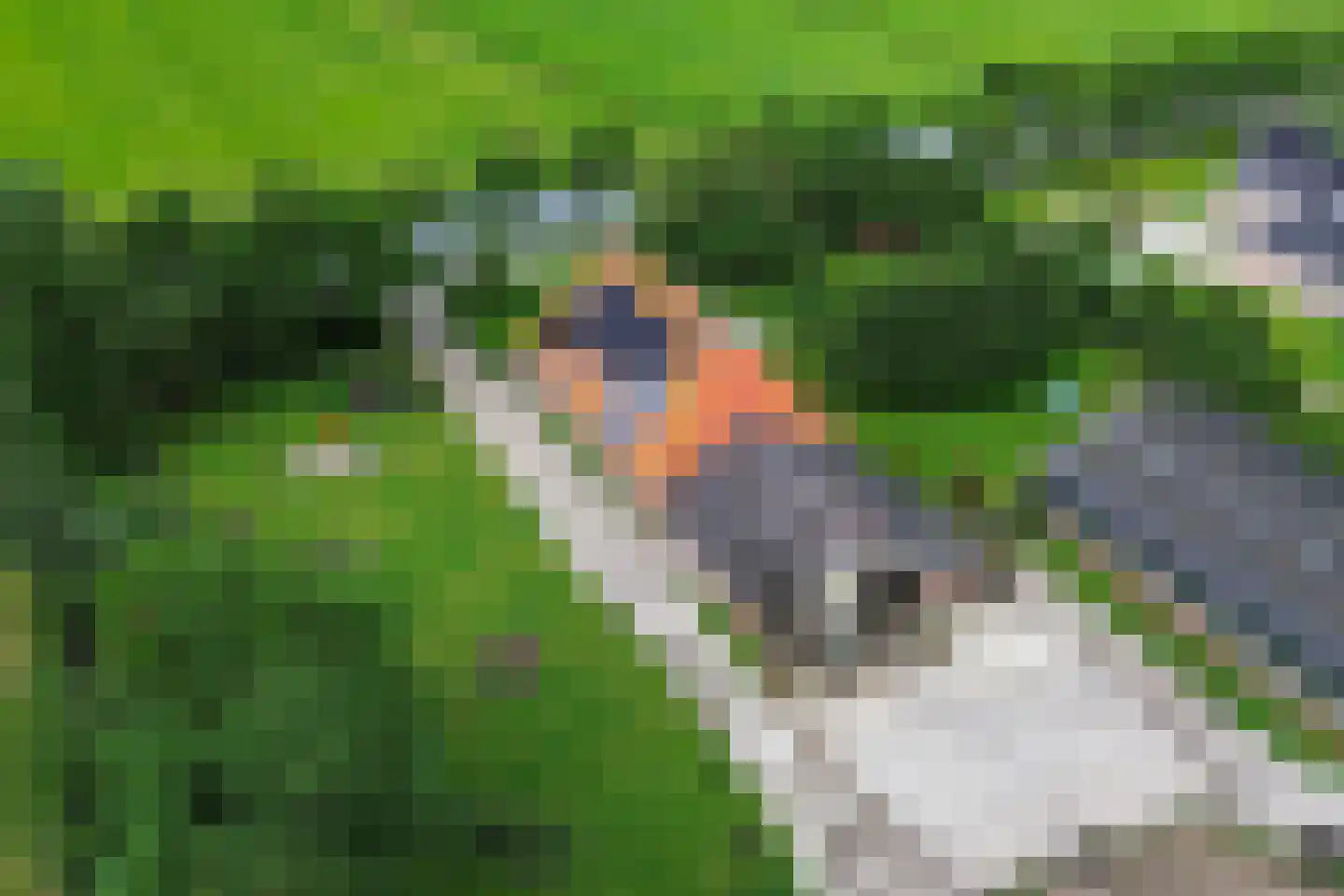 Meenscharweg 5 Joure thumbnail 74