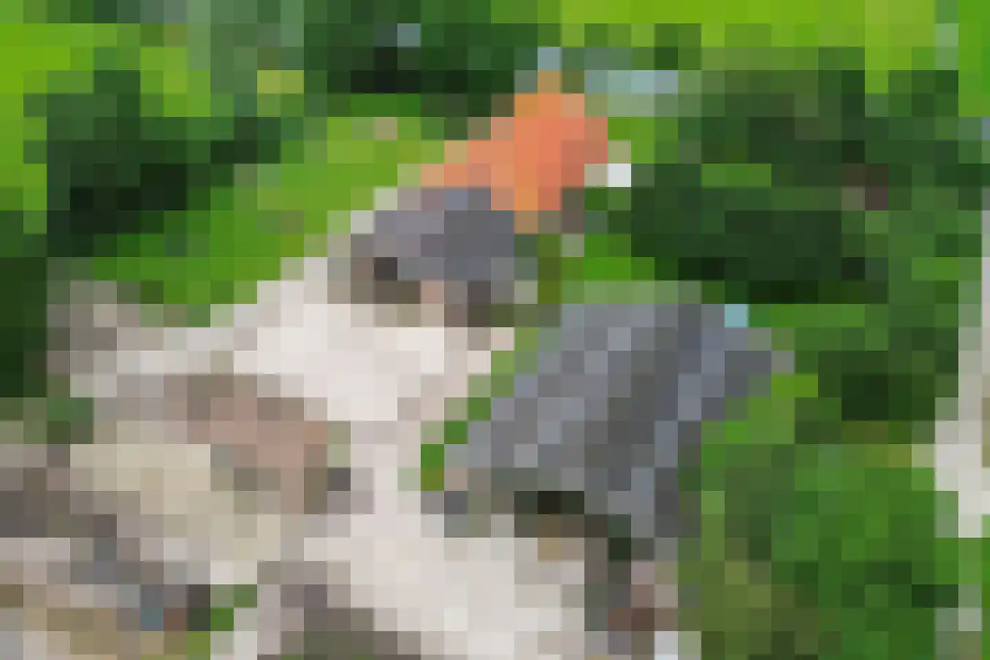 Meenscharweg 5 Joure thumbnail 75