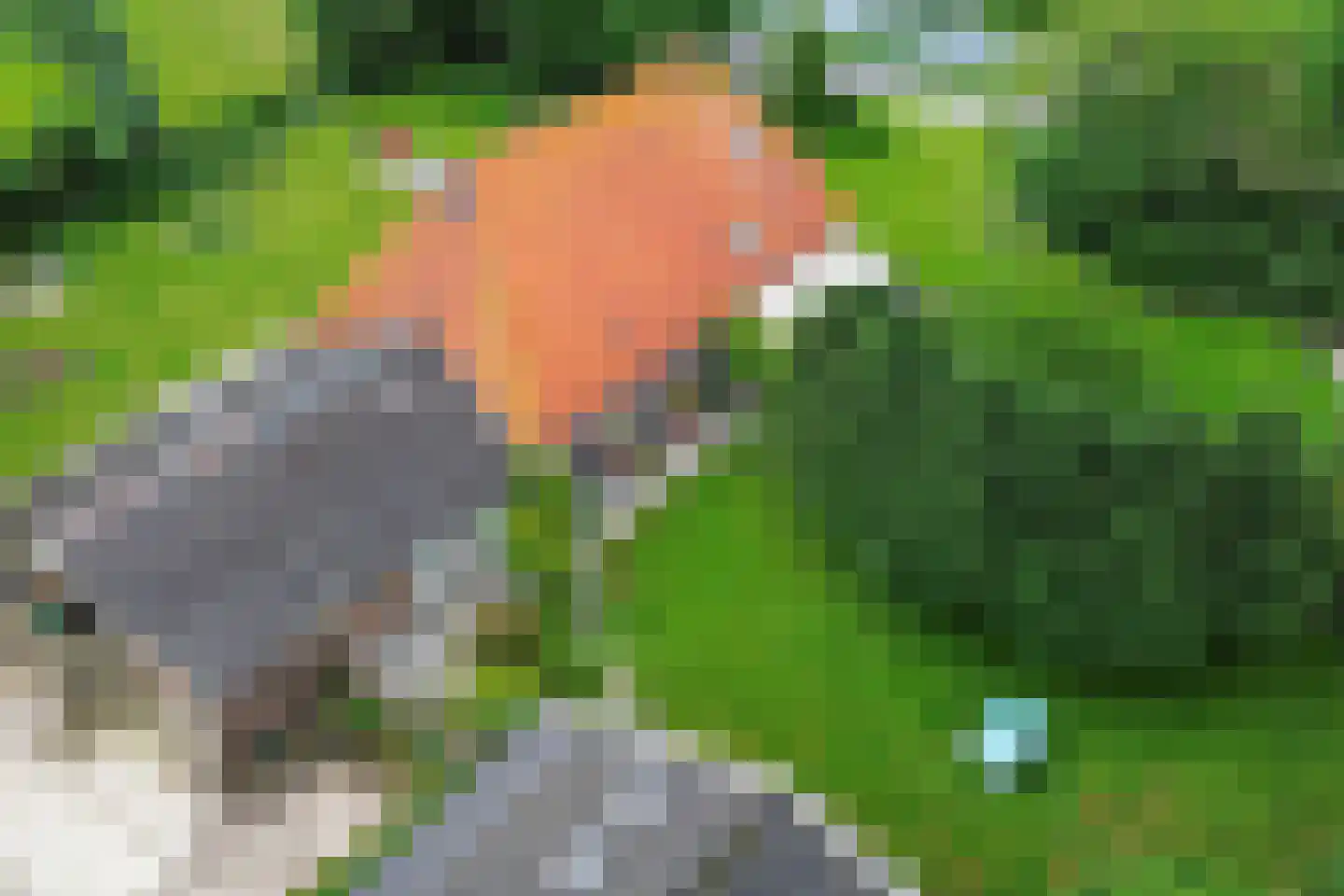 Meenscharweg 5 Joure thumbnail 76