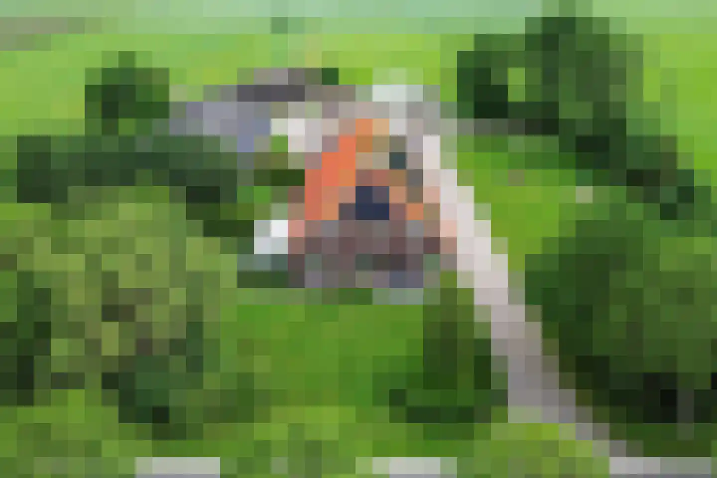Meenscharweg 5 Joure thumbnail 78