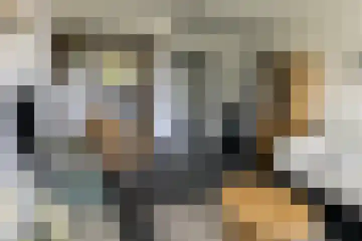 Meent 104 Norg thumbnail 12