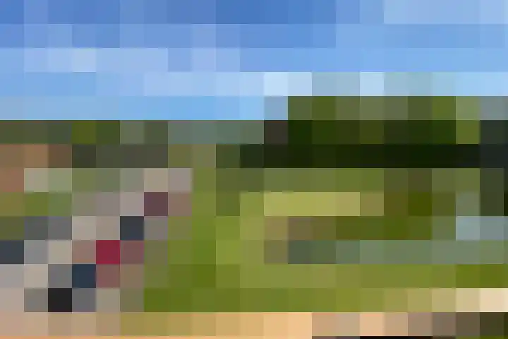 Meent 104 Norg thumbnail 22