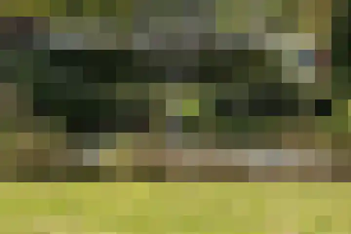 Meent 104 Norg thumbnail 23
