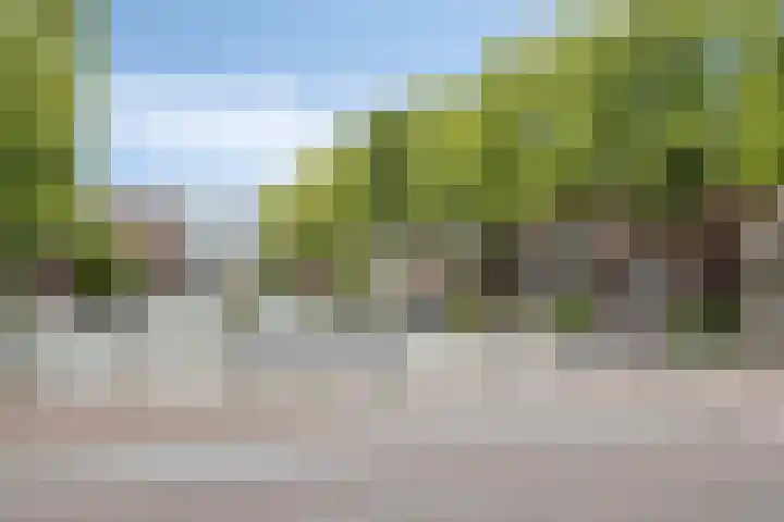 Meent 11 Horst thumbnail 23