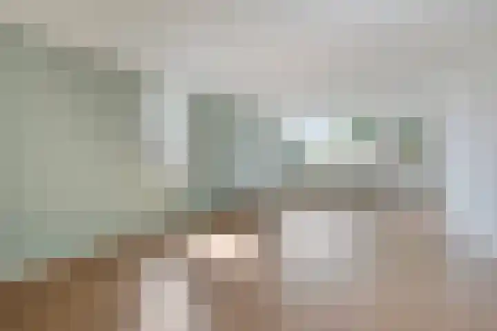 Meent 11 Horst foto 3