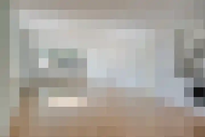 Meent 11 Horst thumbnail 5