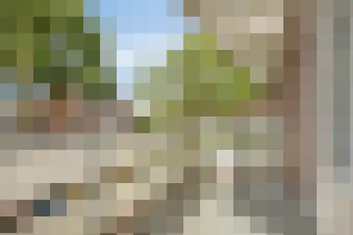 Meent 11 Horst thumbnail 7
