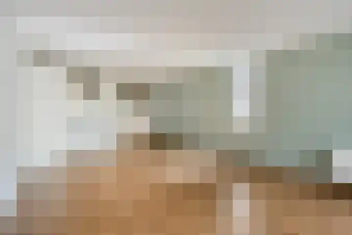 Meent 11 Horst thumbnail 9