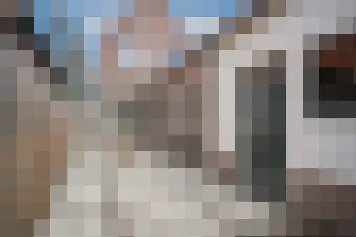 Meent 11 Leerdam thumbnail 25