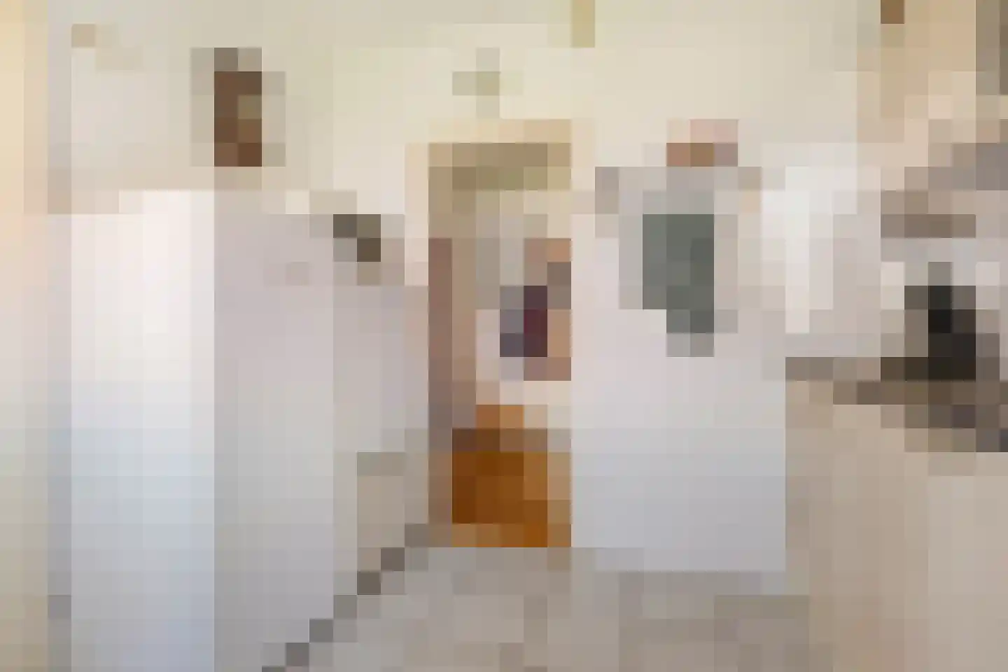 Meent 11 Norg thumbnail 17