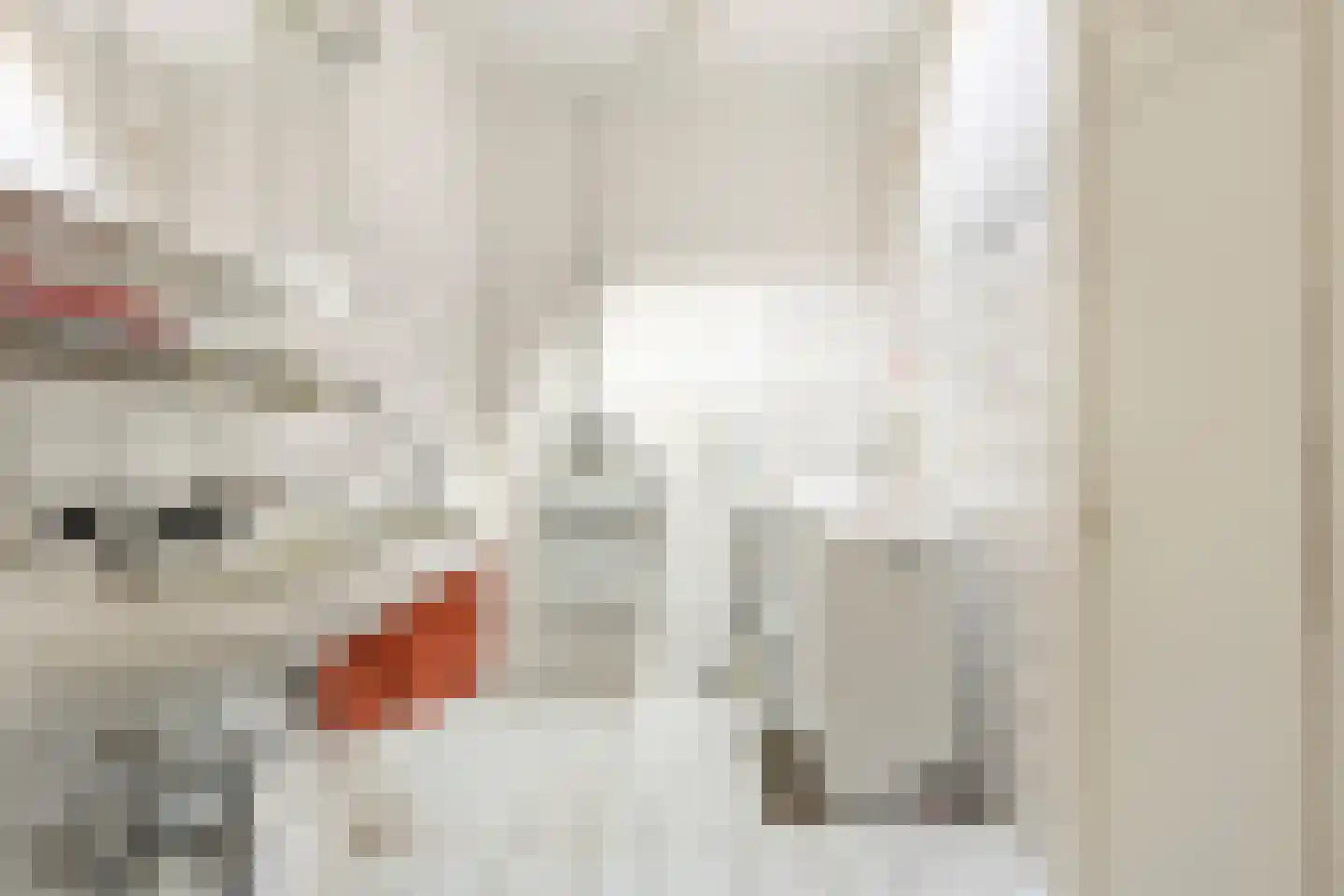 Meent 11 Norg thumbnail 20