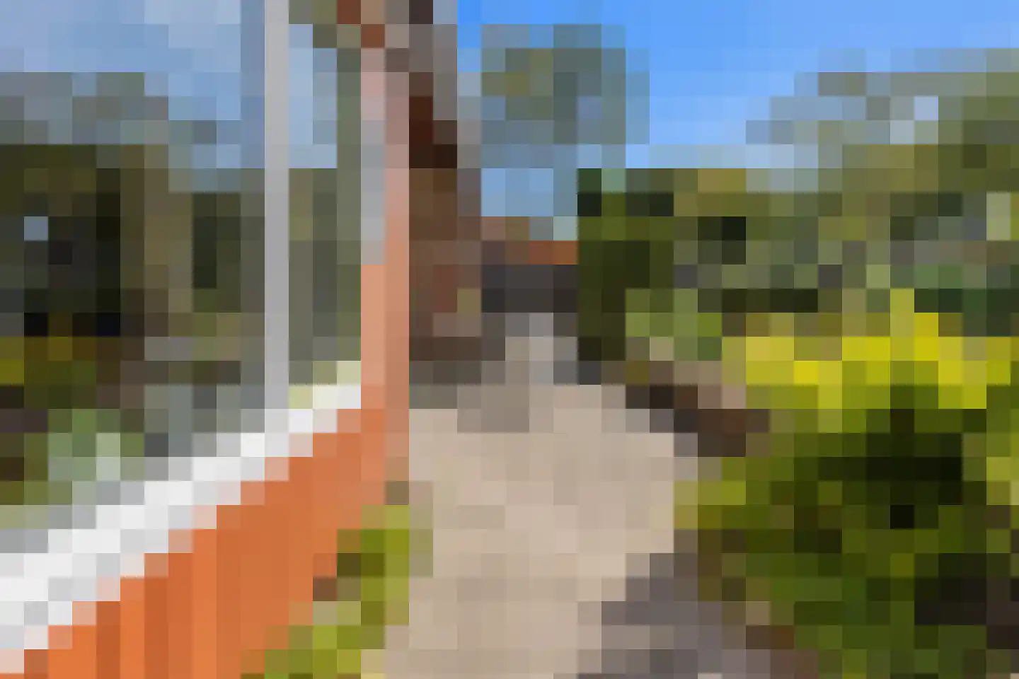 Meent 11 Norg thumbnail 23