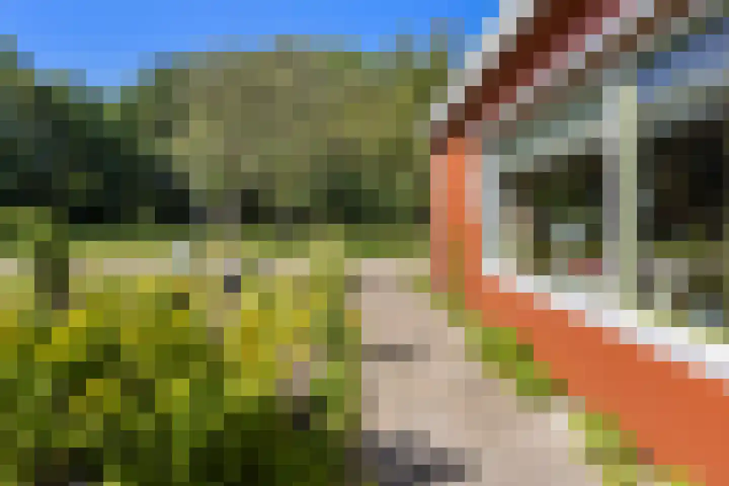 Meent 11 Norg thumbnail 25