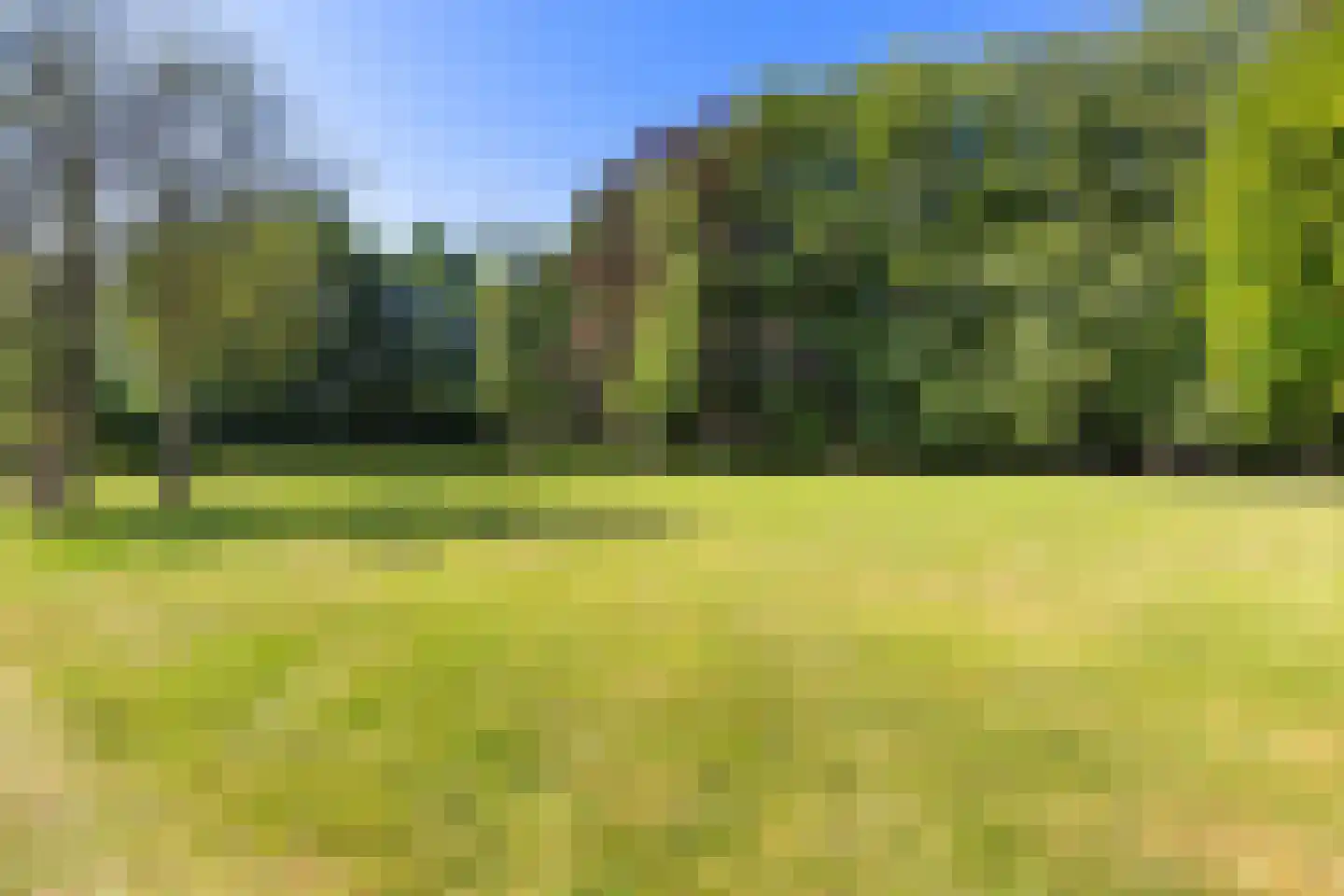 Meent 11 Norg thumbnail 31