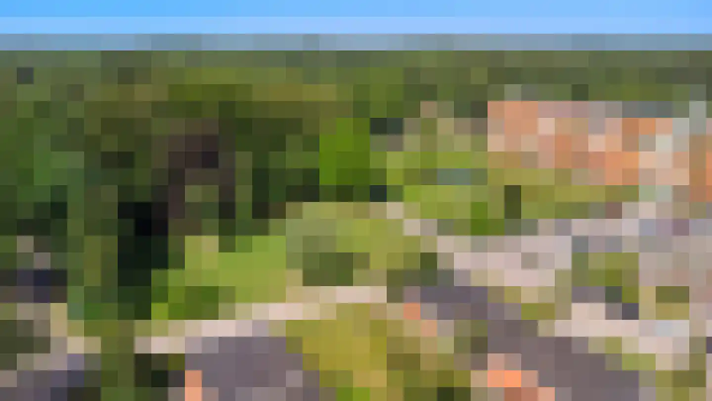 Meent 11 Norg thumbnail 32