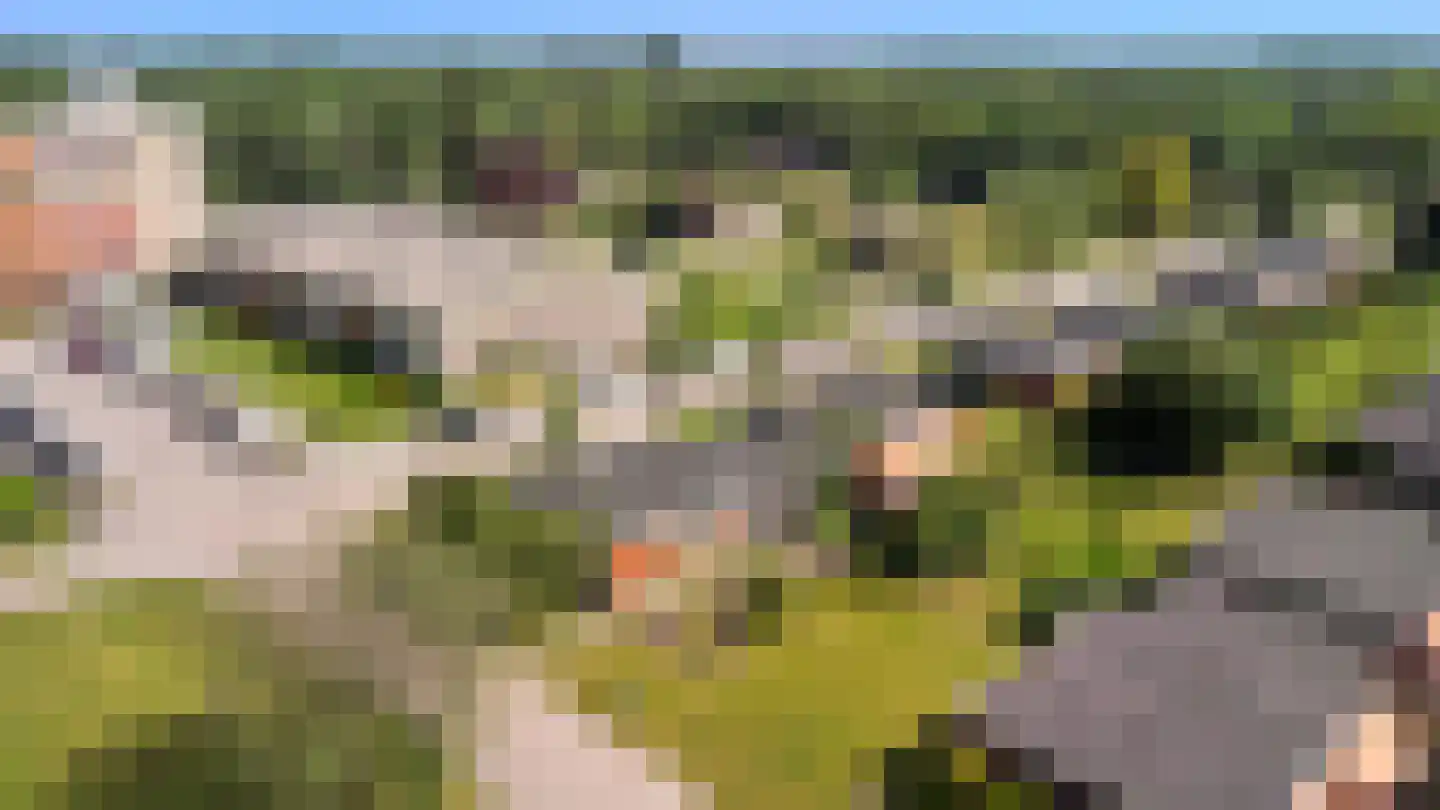 Meent 11 Norg thumbnail 33