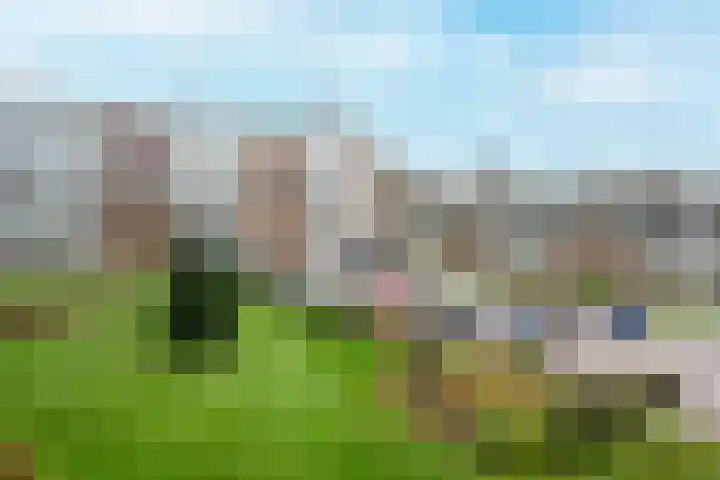 Meent 114 Norg