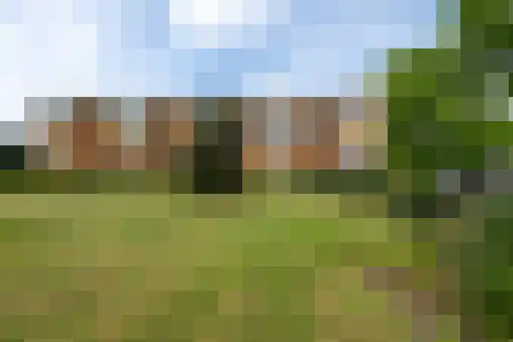 Meent 114 Norg thumbnail 16