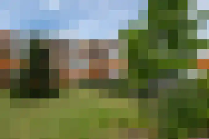 Meent 114 Norg thumbnail 17