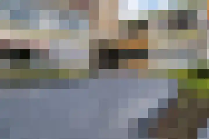 Meent 114 Norg thumbnail 18