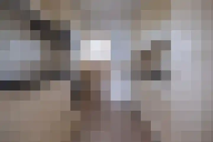 Meent 114 Norg thumbnail 4