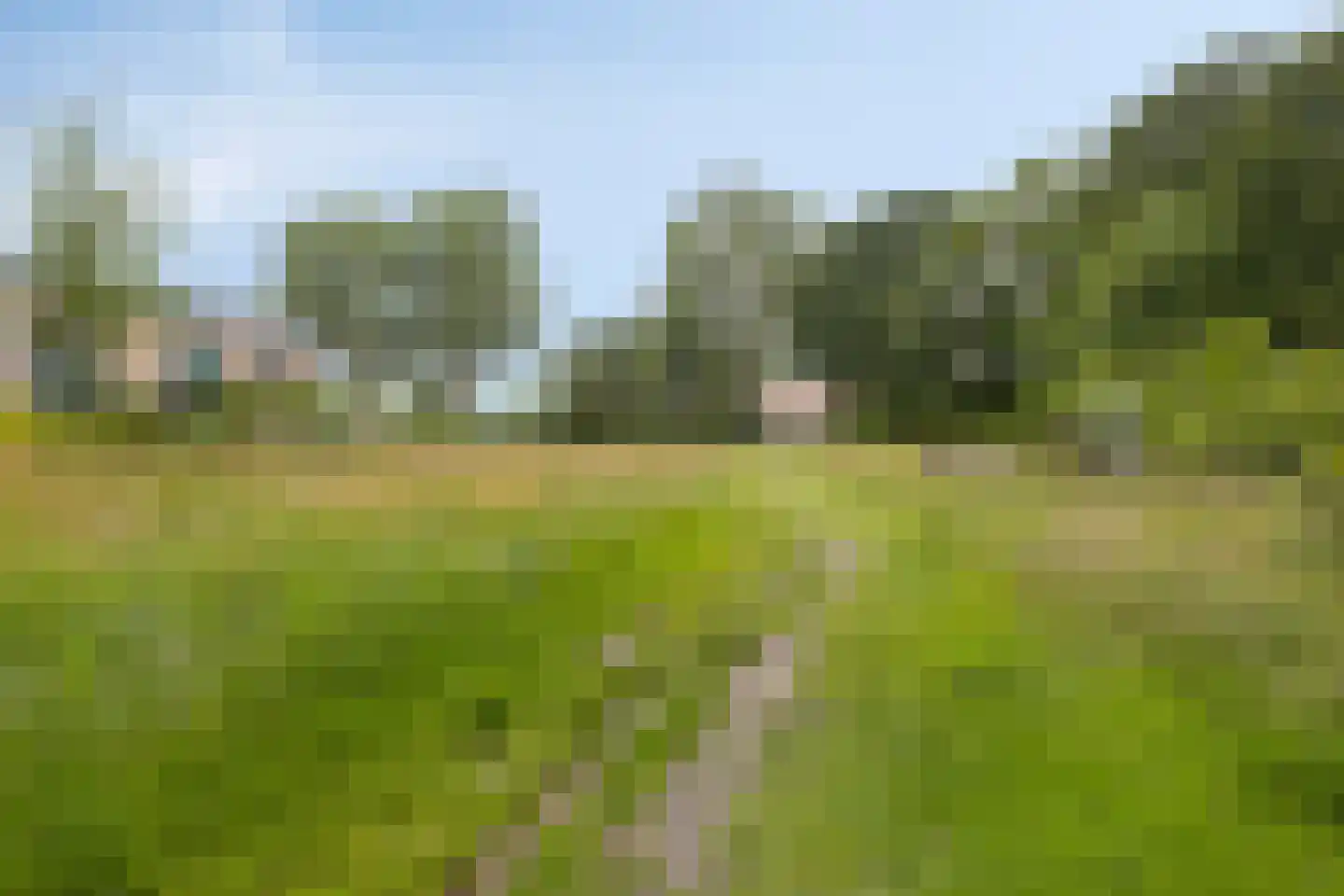 Meent 127 Breda thumbnail 36
