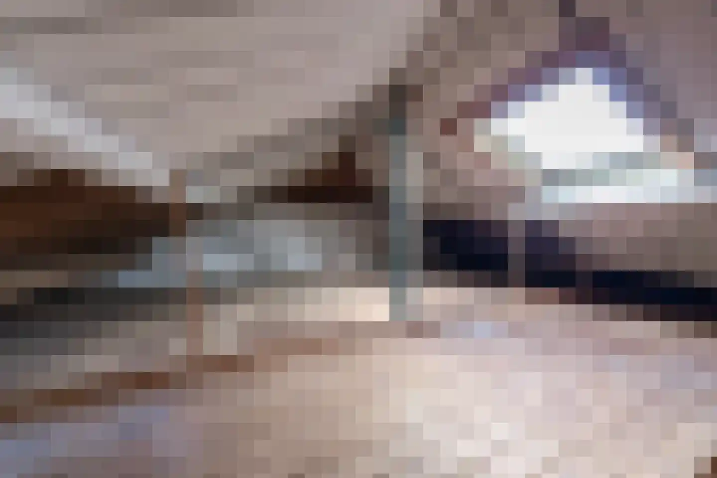 Meent 14 Leerdam thumbnail 32