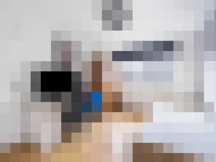 Meent 151 Breda thumbnail 15