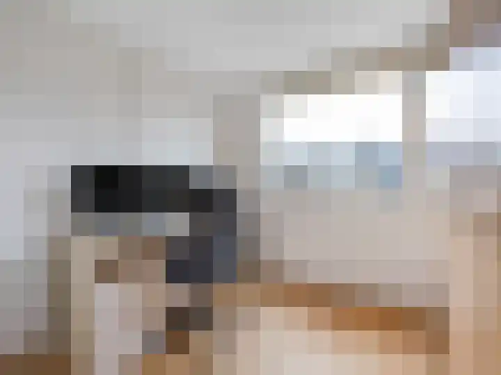 Meent 151 Breda thumbnail 16