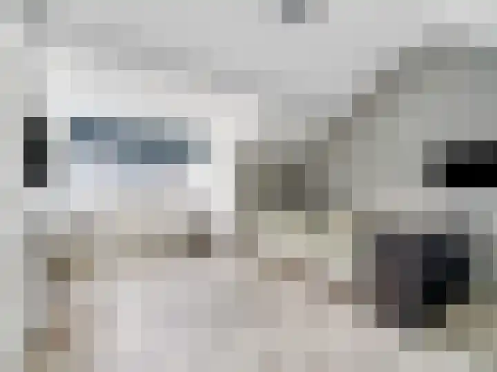 Meent 151 Breda thumbnail 24